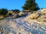 Imagen036.jpg