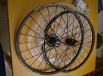 DSCF1155.jpg