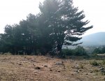 DSC00013.JPG