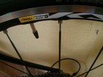 IMG_20160217_173607.jpg