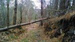 DSC_0003.JPG
