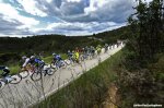 algarve16st1-field-1200.jpg