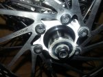 20160219_113354.jpg