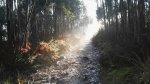IMG-20160219-WA0013.jpg