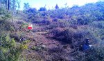 IMAG0389.jpg