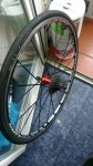 IMG_20160221_140133.jpg