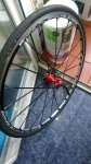 IMG-20160215-WA0005.jpg