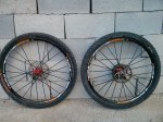 IMG_20160214_180743.jpg