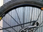 IMG_20160116_120619.jpg