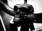 DSC00926 dark.jpg
