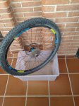 IMG_20160221_162917.jpg