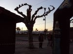DSC04780.JPG