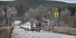 ruta16st2-olives-1200.jpg