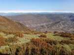 DSC02999.JPG