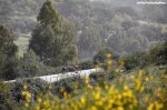 ruta16st5-flowers-1200.jpg