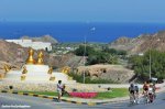 oman16st6-sea-flowers-1200.jpg
