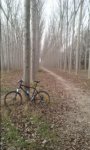 20160222_173509.jpg