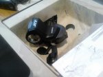 uploadfromtaptalk1456242140319.jpg