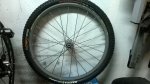 WP_20160223_001.jpg