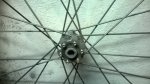 WP_20160223_010.jpg