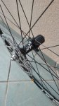 IMG_20160224_083814.jpg