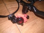 IMG_20160226_000012.jpg