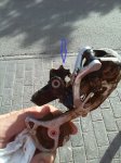 IMG_20131119_144637.jpg