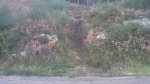 IMG-20160218-WA0007.jpg