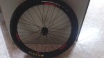 20160226_231329.jpg
