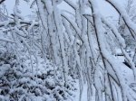 IMG_8776.JPG