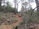IMG_6433.JPG