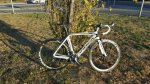 IMG-20160225-WA0036.jpg
