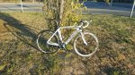 IMG-20160225-WA0038.jpg