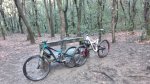 IMG_20160228_085601.jpg