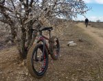 20160227_114040.jpg