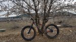 20160227_114018.jpg