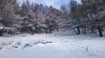 IMG-20160227-WA0019.jpg