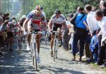 kuurne-gayant-verhoeven-1000.jpg