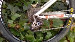 IMG-20160227-WA0007.jpg