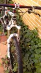 IMG-20160227-WA0008.jpg