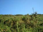 Image00027.jpg