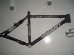 Giant 1.jpg