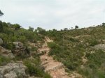 PICT0005 (Medium).JPG
