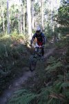 1Âº go santiago dh 010 (Medium).jpg