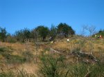 IMG_1529.JPG