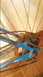 20160229_154112.jpg