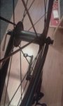 20160229_184207.jpg