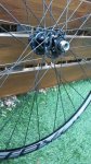 IMG-20160229-WA0006.jpg