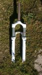 IMG_20160301_103351.JPG