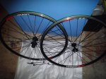 20160301_121116.jpg